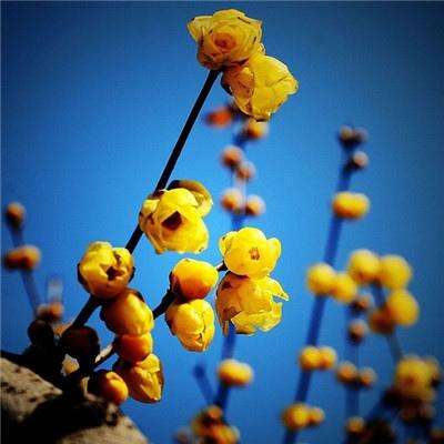 ayx体育在线登录