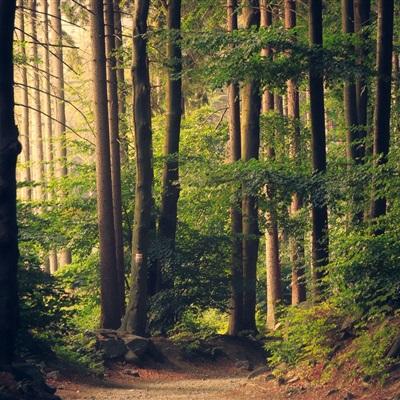 双赢彩票官方网站app下载