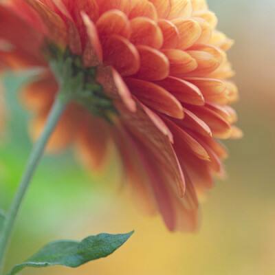 博鱼·体育中国入口