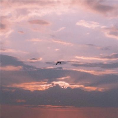 管家婆期期四肖四码中特管家app下载