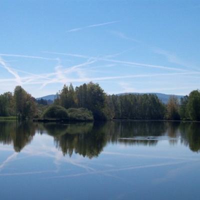 尊龙AG旗舰厅登录