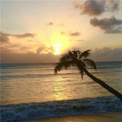 火狐体育下载app