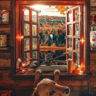 B体育·(sports)官方网站