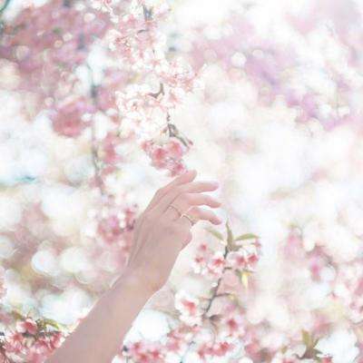 真人斗牛牛最新版